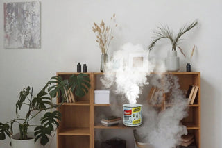 Fumigateur : la solution choc pour éliminer les mites et nuisibles chez soi