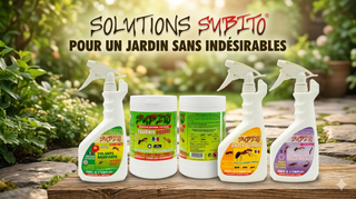 Découvrez notre gamme de répulsifs Subito et comment les utiliser