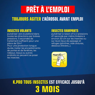 Bombe aérosol tous insectes